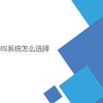 wms系統(tǒng)怎么選擇？